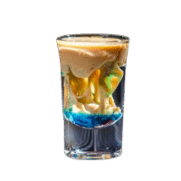 ALIEN BRAIN HAEMORRHAGE