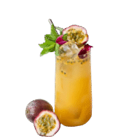 PASSION FRUIT MOJITO