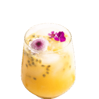 PASSION FRUIT GIN FIZZ