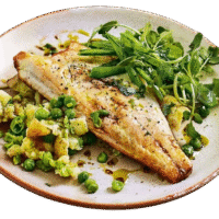 Sea Bass Fillet