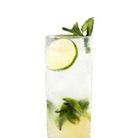 CLASSIC MOJITO