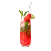 RASBERRY MOJITO